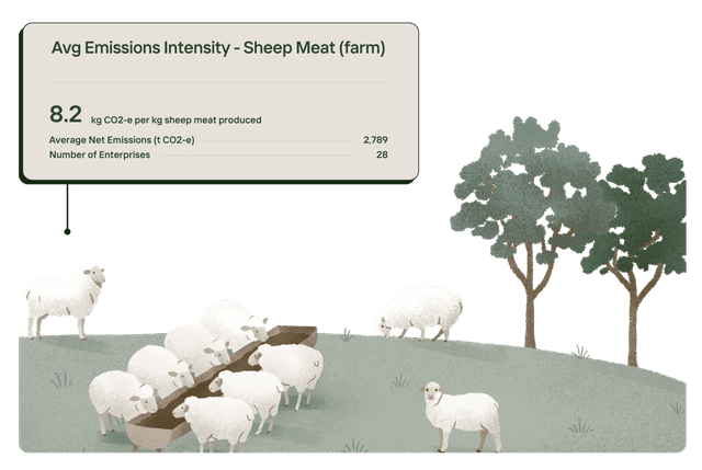 Average Emissions Intensity - Sheep