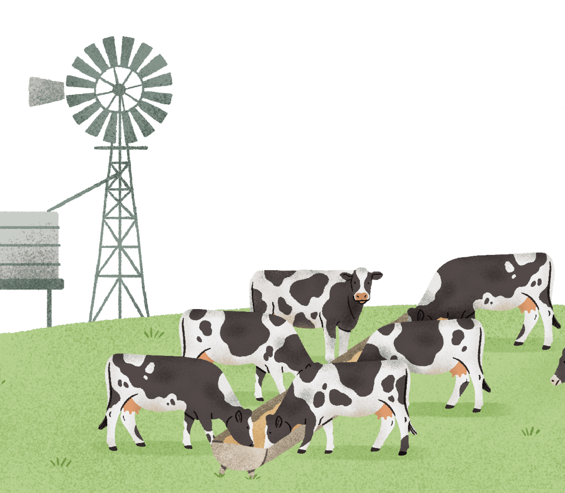 Dairy Enterprise