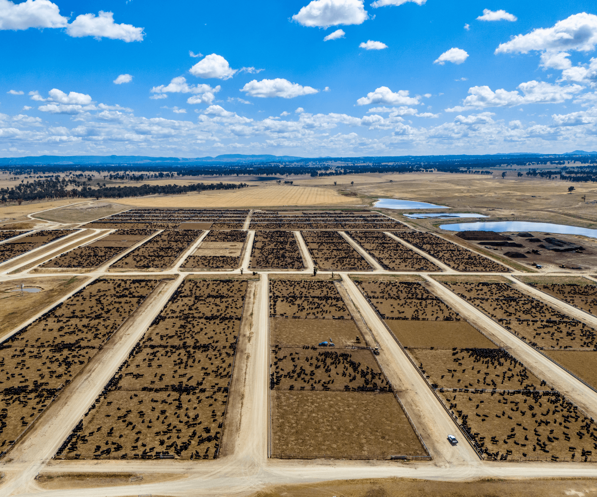 A drone shot of a feedlot