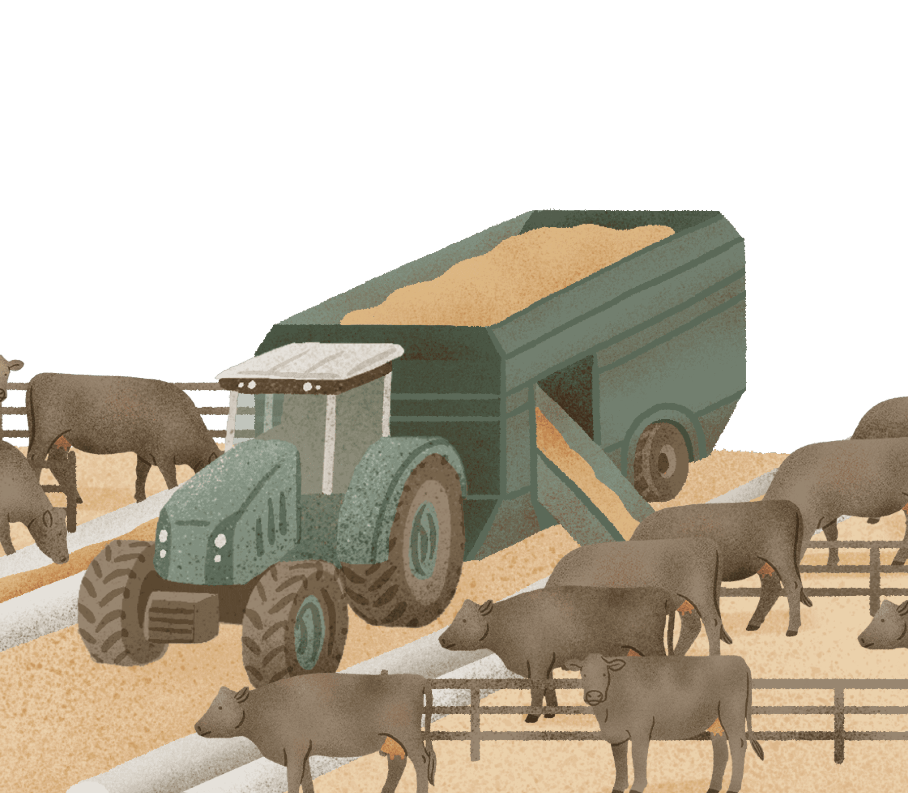 Feedlot Enterprise