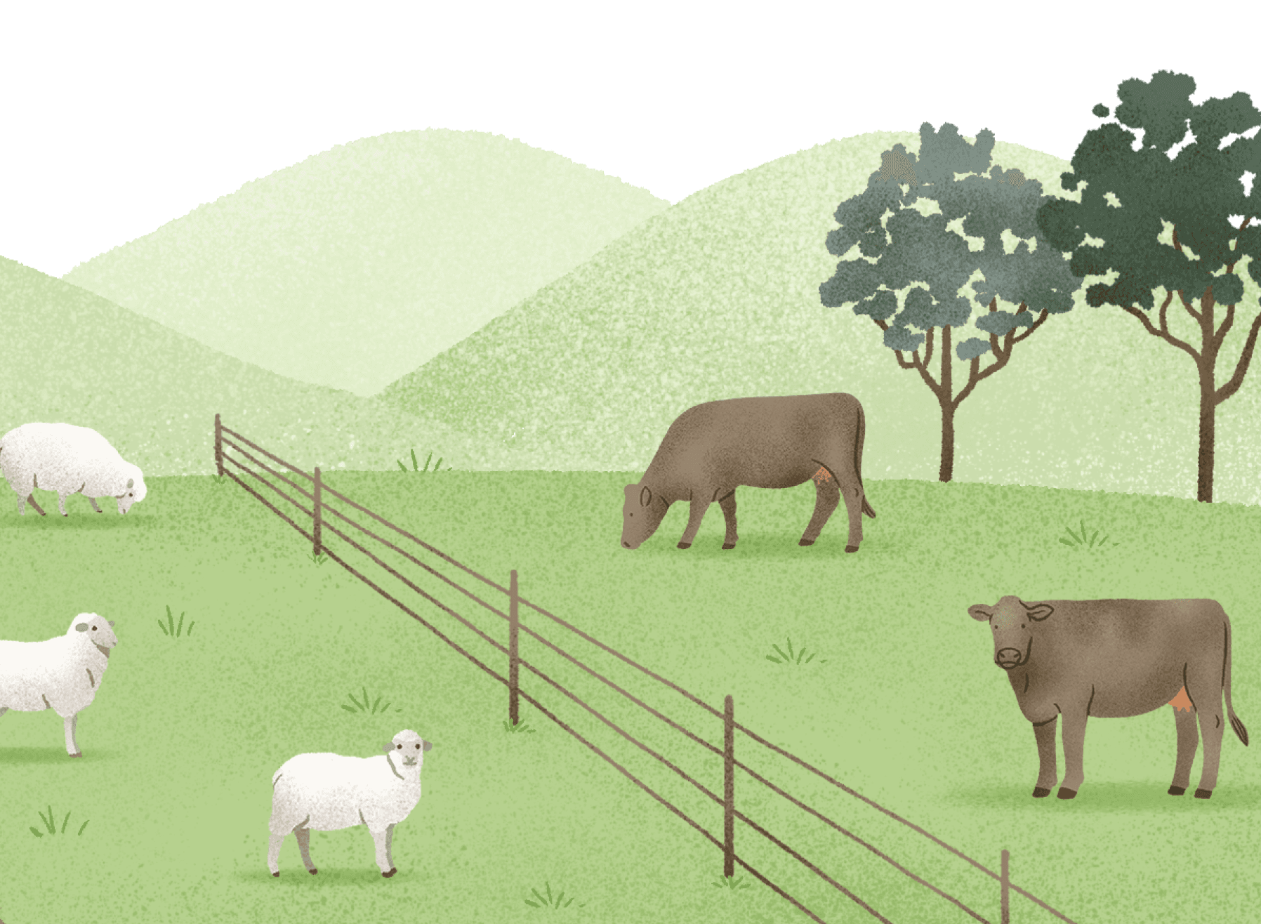 Enterprise Farms