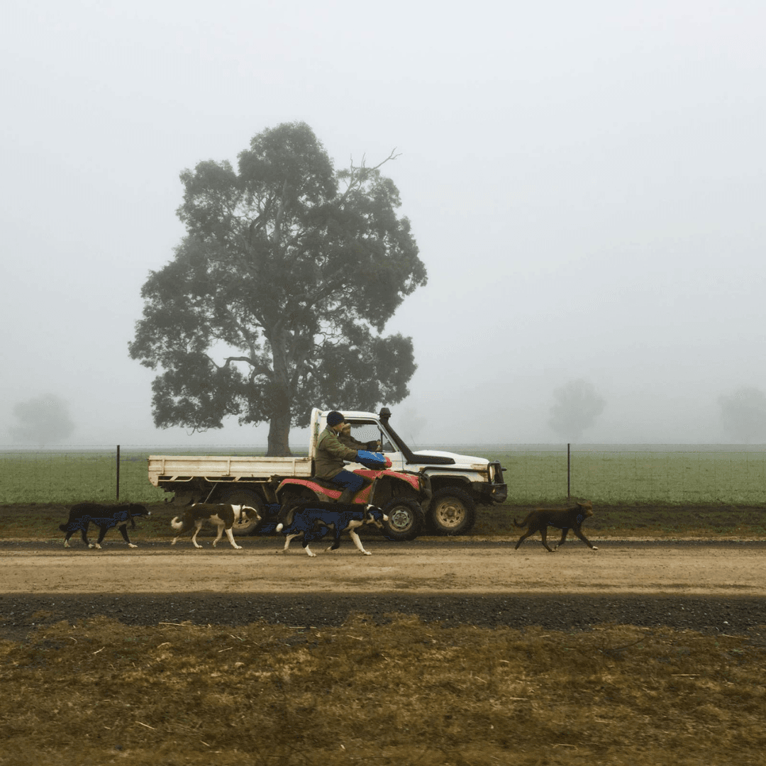 Ruminati CEO Bobby Miller drives across his farm.