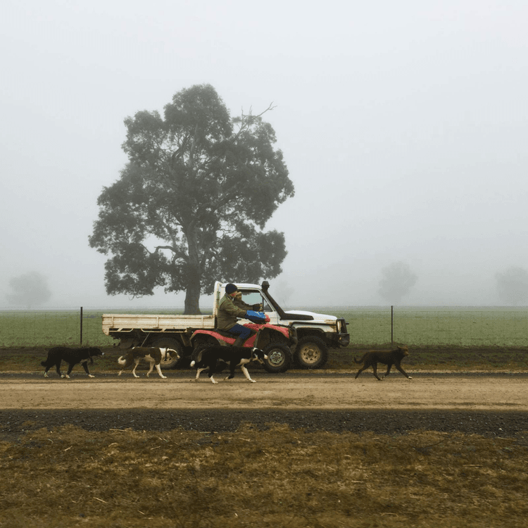 Ruminati CEO Bobby Miller drives across his farm.