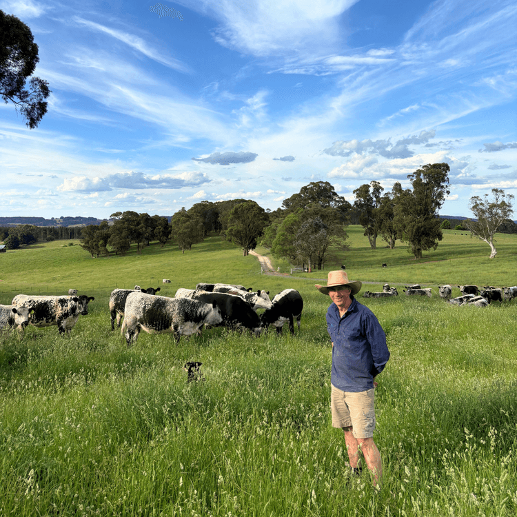 Ruminati Customer Engagement Lead Bill Findlay with his speckle park cattle on his property in Oberon.