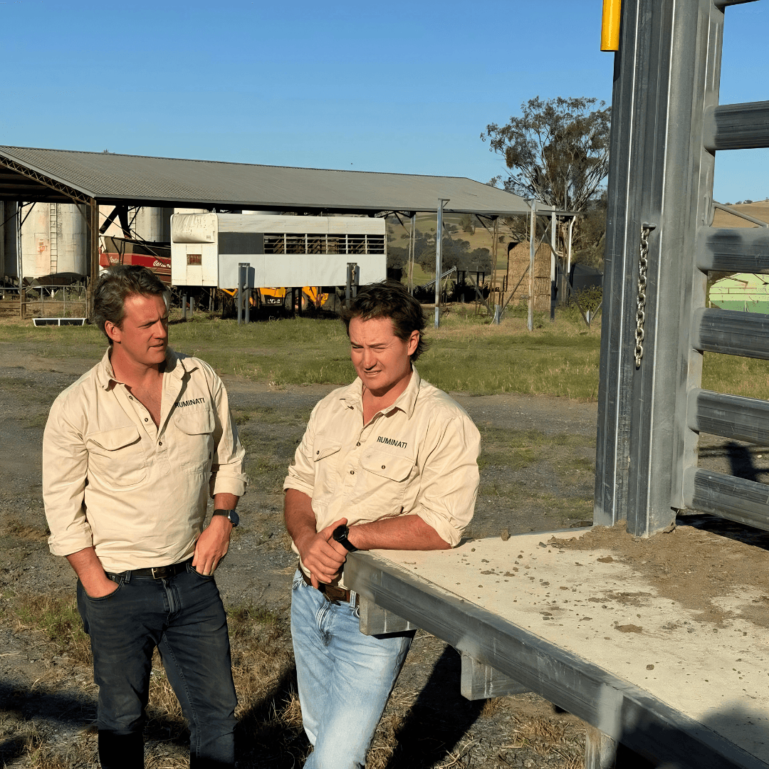 Ruminati co-founders Bobby Miller and Will Onus on Bobby Miller's NSW beef farm.