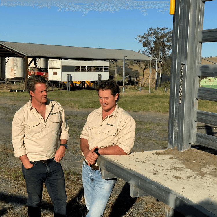 Ruminati co-founders Bobby Miller and Will Onus on Bobby Miller's NSW beef farm.