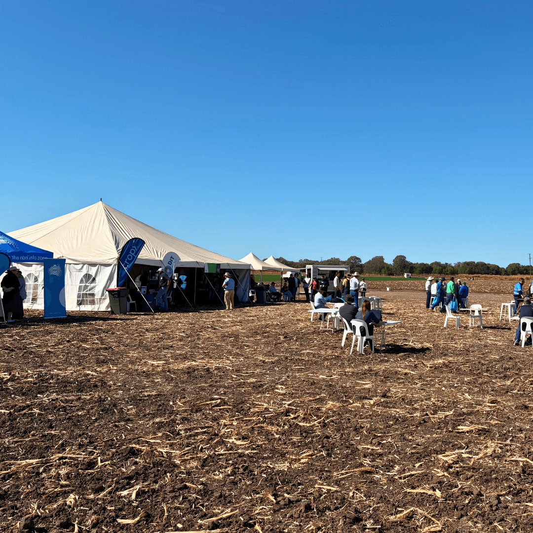 Producers in the field watching Ruminati at CHDC AgTech26