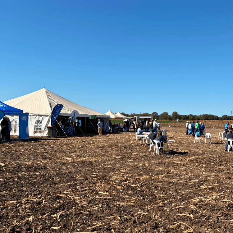 Producers in the field watching Ruminati at CHDC AgTech26