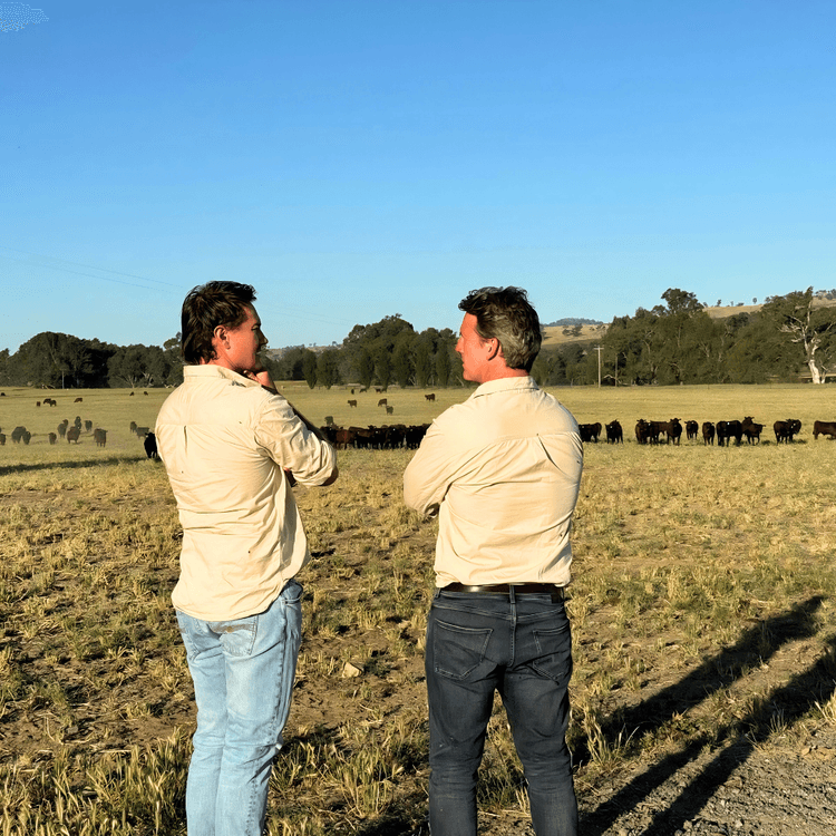 Ruminati COO Will Onus and Ruminati CEO Bobby Miller chatting all things farming on Bobby's farm Cooininee.