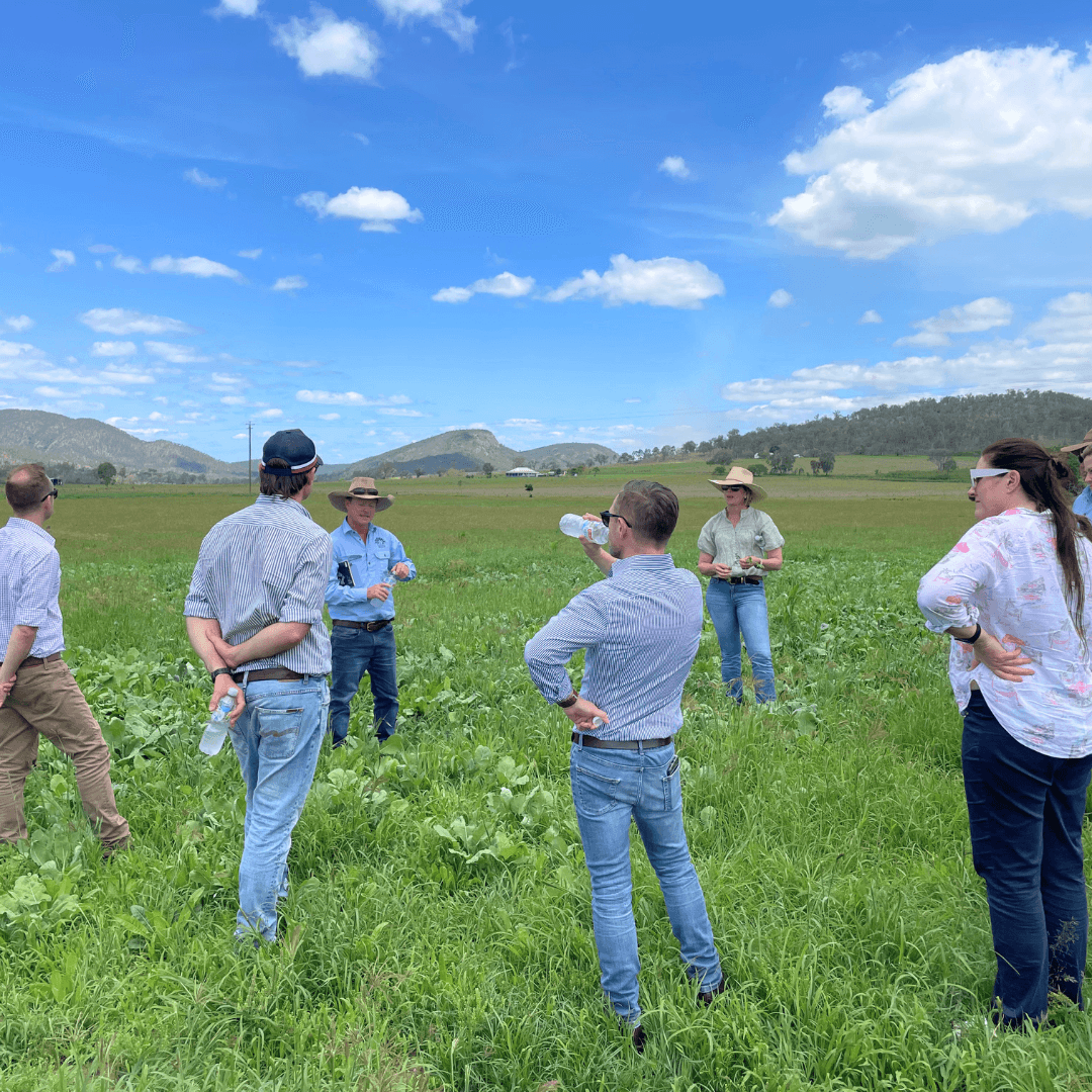 Will Onus joins McDonald's and FMG representatives for a farm visit in Esk for the joint T2T Project.