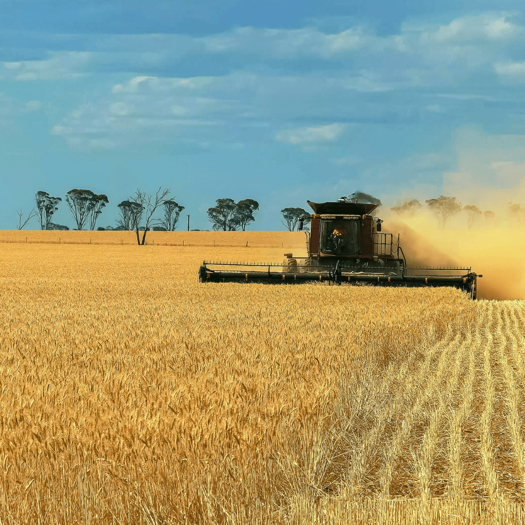 Ruminati | Agricultural Emissions Tracking